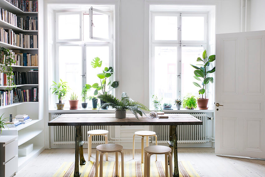 a small dining room with several plants and a wooden table